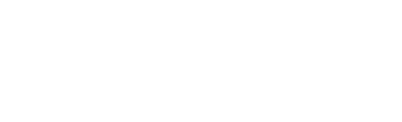 Notorio 2